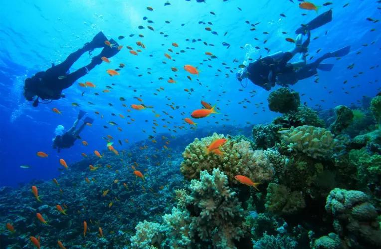 Cobertura Pe Na Areia Com Piscina Privativa E Vista Mar Na Praia Dos Anjos, Arraial Do Cabo, Para Ate 8 Pessoas エクステリア 写真